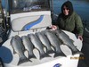 (01/28/2016) - Nice Striped Bass